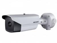   DS-2TD2166-35S